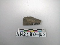 藏品(磨製石矛殘件)的圖片